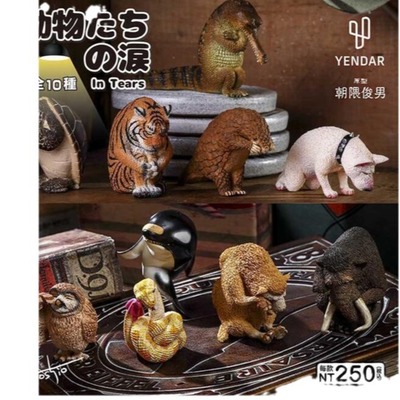 朝隈俊男动物的眼泪